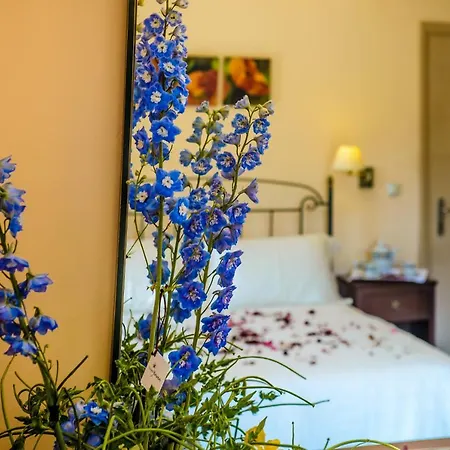 别墅 Kefalos Razáta